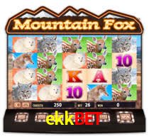 ekkbet.com