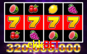 Premium Interface ekkbet